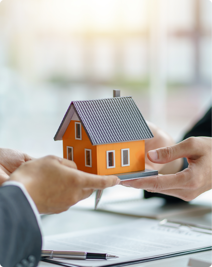 メインイメージ